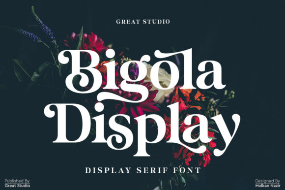Bigola: The Bold, Trendy Display Font for Modern Design
